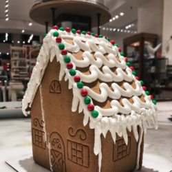 How To Build a Gingerbread House!
