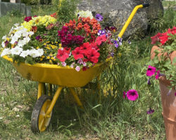 Unique Planters for Your Flowers!