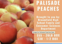 Palisade Peaches For Sale