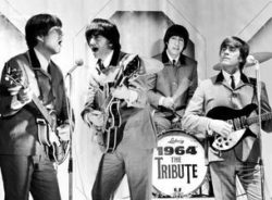 The Tribute Beatles
