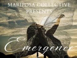 Mariposa Collective