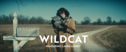 Wildcat Film SS